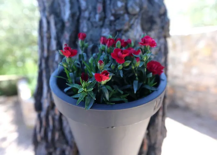 Ii House For Rest Holiday home