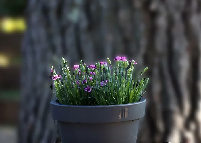 Holiday home Ii House For Rest Jadrija